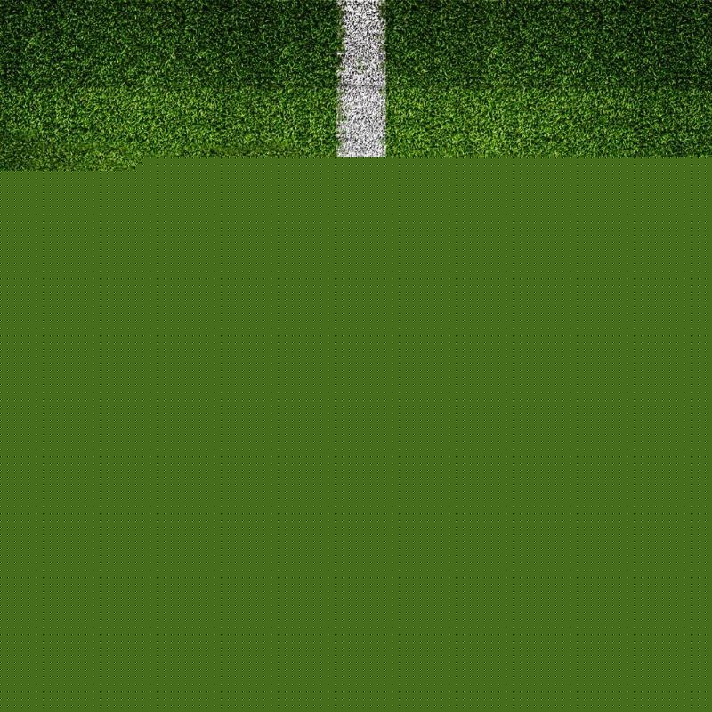 我们可以看 我们可以看