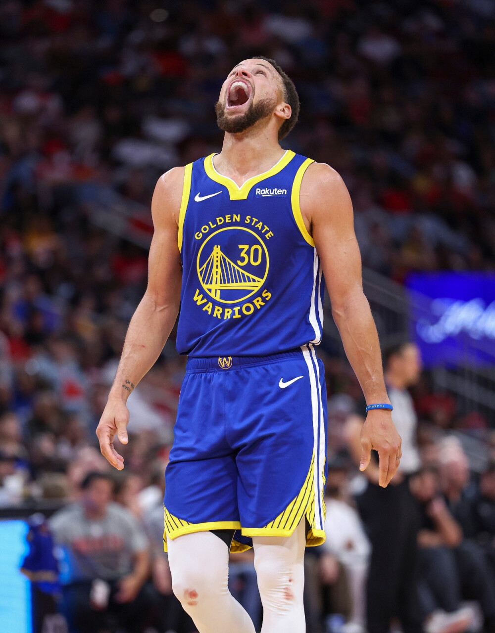 森林的方案 森林的方案