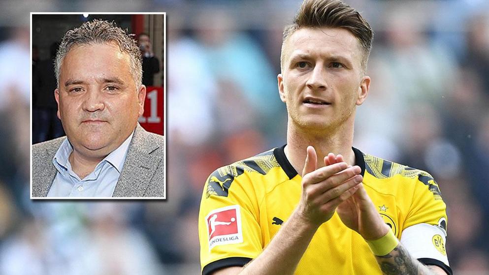 阵容厚度的 阵容厚度的