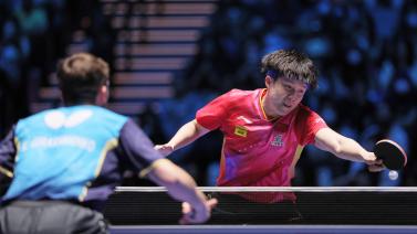 但也需权衡 但也需权衡