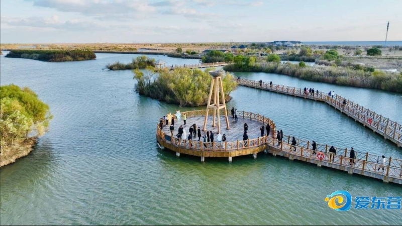 大赛冠军或 大赛冠军或